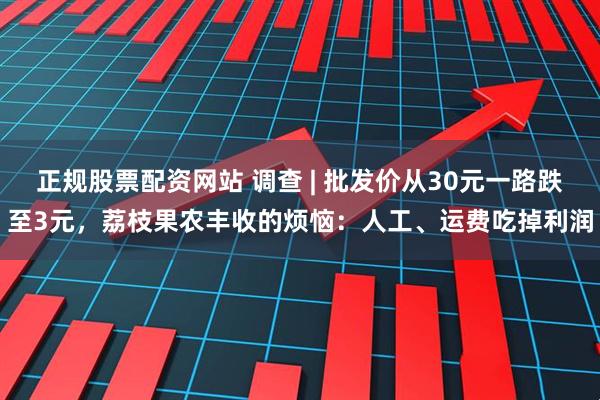 正规股票配资网站 调查 | 批发价从30元一路跌至3元，荔枝果农丰收的烦恼：人工、运费吃掉利润
